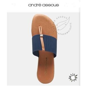 Andre Assoue Nice Featherweights Sandal